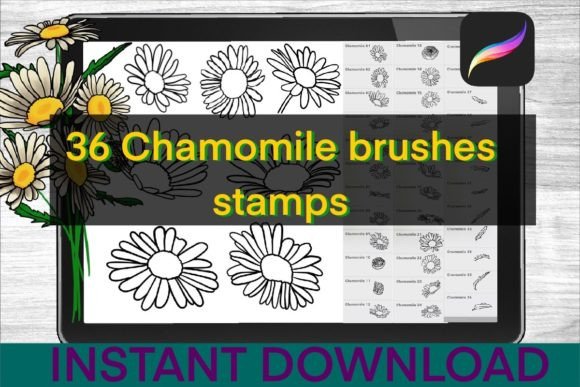 Download Chamomile Brushes Procreate Stamps - Stamp Collection